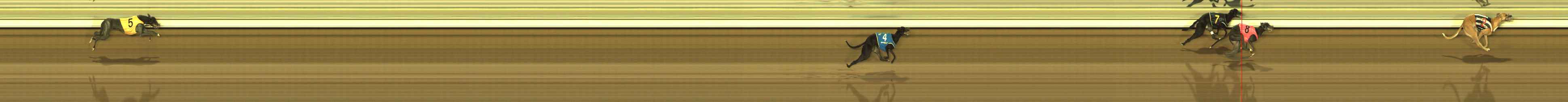 Race result finish photo